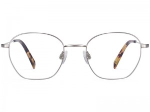 Antique Silver Warby Parker Robbie Men's Eyeglasses Australia | W4F-5931