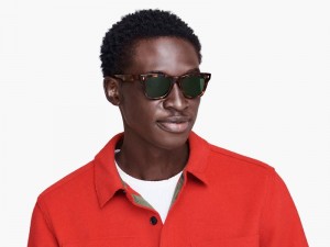 Oak Barrel Warby Parker Harris Men's Sunglasses Australia | L9D-6158