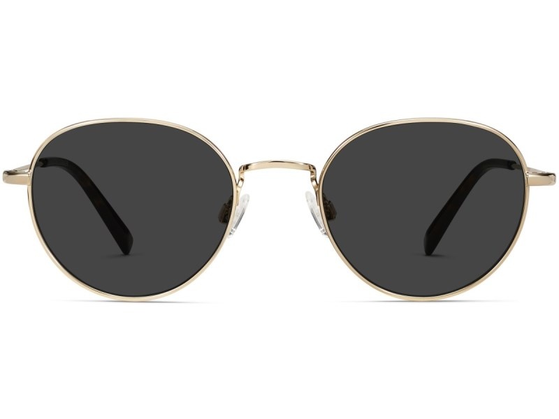 Polished Gold Warby Parker Rafael Men's Sunglasses Australia | E8L-7120