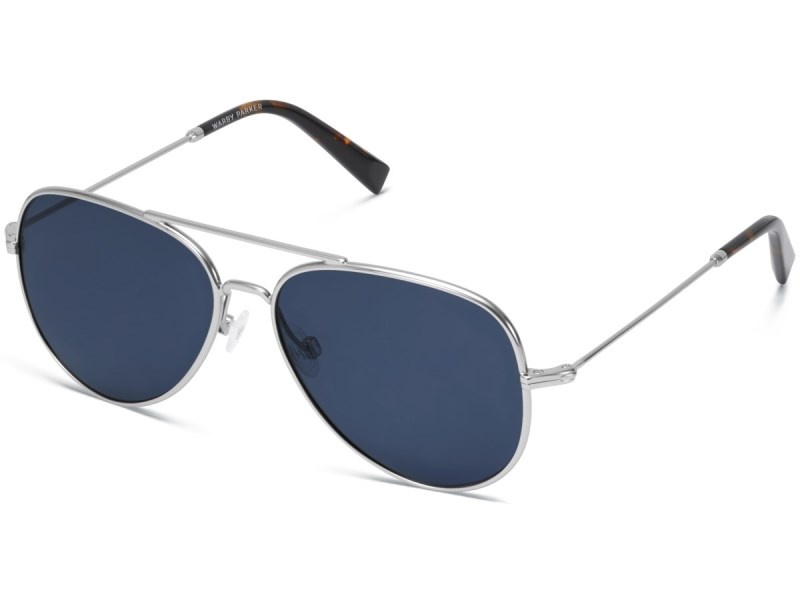 Polished Silver Warby Parker Raider Men's Sunglasses Australia | Q8A-5140